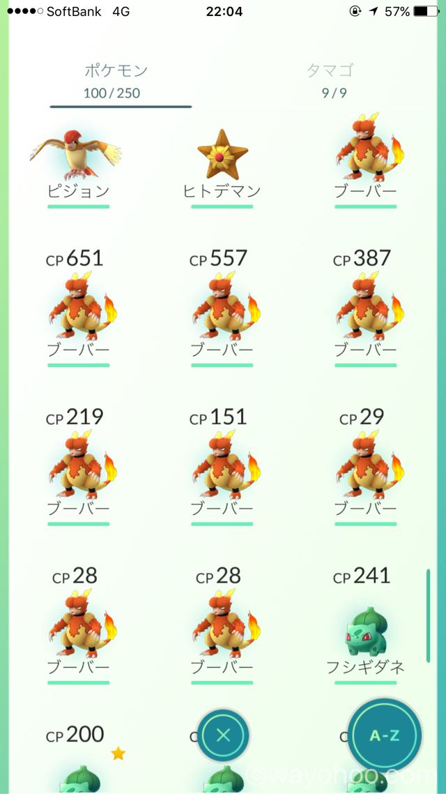 上野公園でゲットしたブーバー9匹。