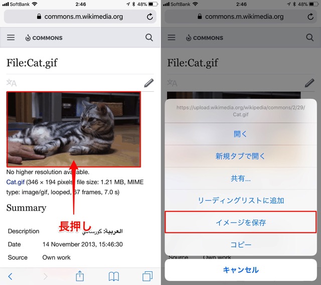 Ios11新機能 写真アプリがgifアニメ画像の再生に対応しています