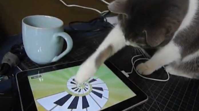思わず顔もほころぶ、猫がiPadを操作するムービー。