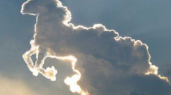【写真】これは凄い！天空を駆ける1頭の白馬！